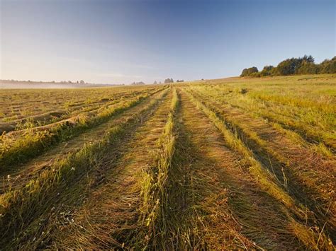 Celebrating the ordinary: Taking a look at the countryside for what it really is | The ...