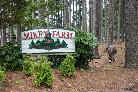 Mikes Farm Beulaville NC | Topsail Magazine