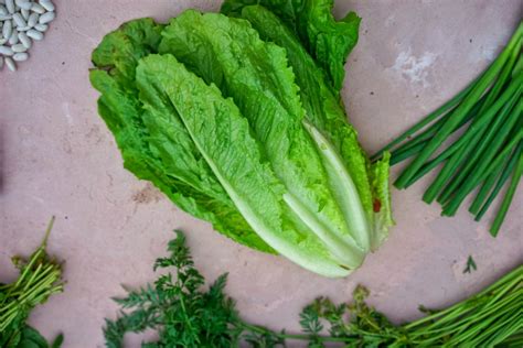 How to Grow Your Own Romaine Lettuce • Gardenary