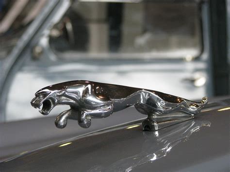 Cool Cars - The History of Jaguar