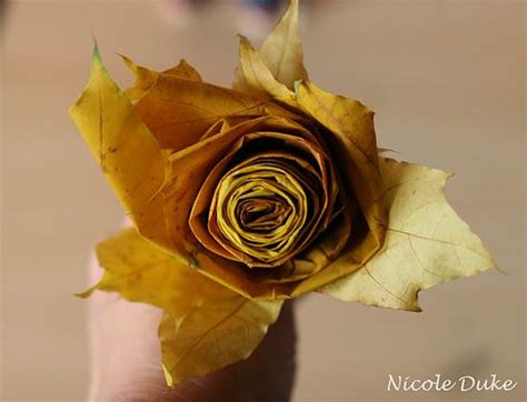 Creative DIY Maple Leaf Roses in 6 Easy Steps - DIY & Crafts