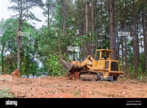 Contractor used tractor skid steers to remove trees from property during construction process in ...