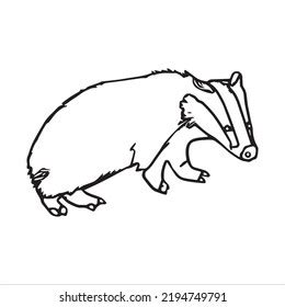 Beautiful Badger Line Art Imagesoutline Drawingvector Stock Vector ...