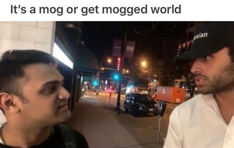 It's a mog or get mogged world | Mogging | Know Your Meme