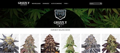 Grizzly Cannabis Seeds Review | The Highest Crop