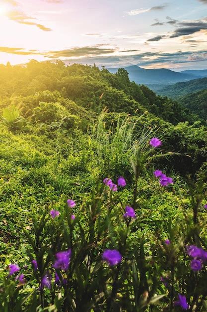 Premium Photo | Landscape of mountain beautiful countryside of thailand