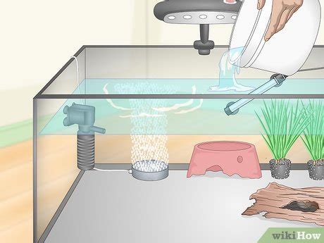 How to Take Care of an Aquatic Frog (with Pictures) - wikiHow