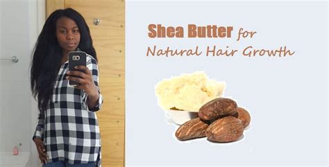 shea butter for natural hair growth 4c black african hair | Shea butter ...