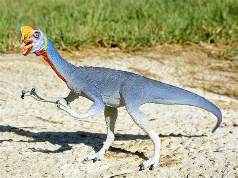 7 Photos Oviraptor Facts For Kids And Review - Alqu Blog