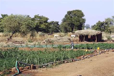 Burkina Faso - UN PAGE - Partnership for Action on Green Economy