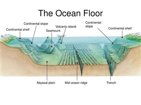 Limnology And Oceanography