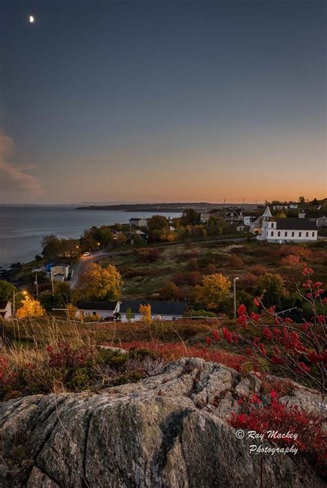 Freshwater, Carbonear, Newfoundland , Canada | Newfoundland, Fresh ...