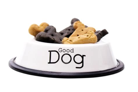 Cold Pressed Dog Food | The Canine Nutritionist