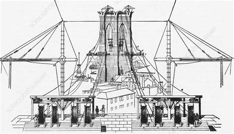 Brooklyn Bridge Diagram - Stock Image - C007/5960 - Science Photo Library