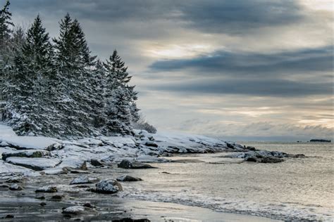 Visionary Wild ( Maine Winter Coast )