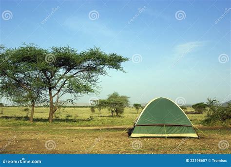 Camping in savannah stock image. Image of acacia, outdoor - 22198607