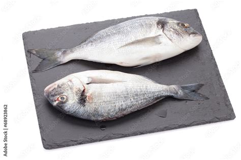 Fresh dorado fish Stock Photo | Adobe Stock