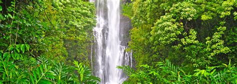 Scenic Maui Waterfalls