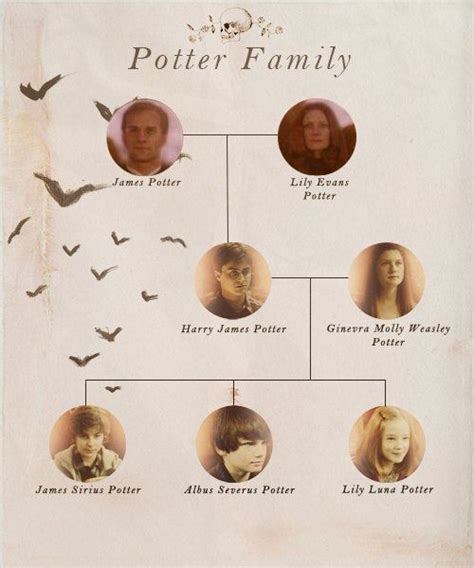 Lily Potter, Harry Potter Family Tree, Magia Harry Potter, Harry Potter ...