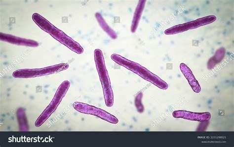 Bacteria Mycobacterium Bovis 3d Illustration Causative Stock Illustration 2231298021 | Shutterstock