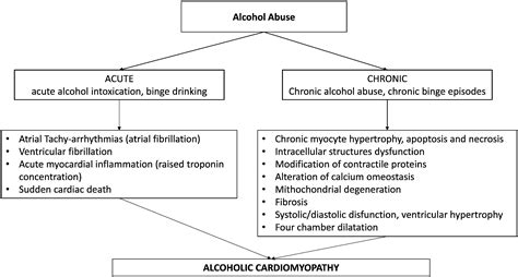 Alcoholic cardiomyopathy: What is known and what is not known ...