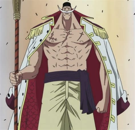 Captian Whitebeard - Edward Whitebeard Newgate Photo (31858222) - Fanpop