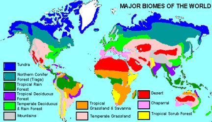 World Map Of Tundra Biome ~ AFP CV