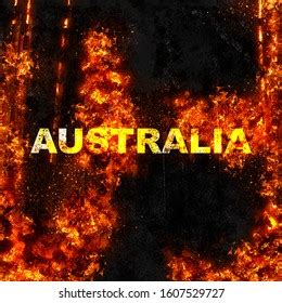 Australia Fire Forest Animals Life Stock Illustration 1607529727 | Shutterstock