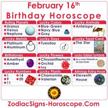 February 16 Zodiac (Aquarius) Horoscope Birthday Personality and Lucky ...