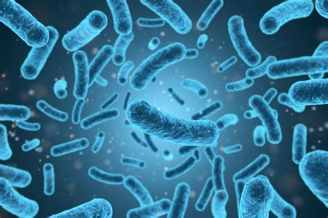 Legionella pneumophila antigen - The Native Antigen Company