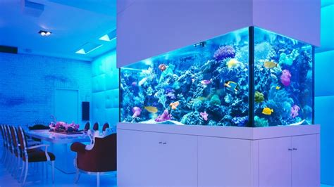 Quick Guide to Aquarium Lighting - Lighting Equipment Sales