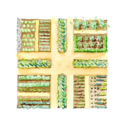 Vegetable Garden Drawing at GetDrawings | Free download