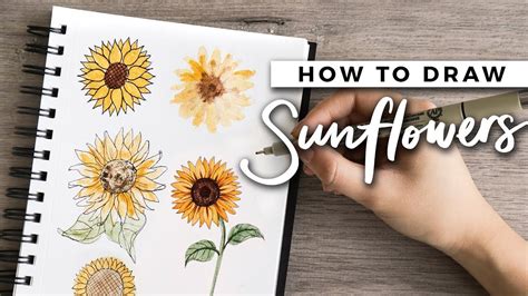 How To Draw Sunflowers