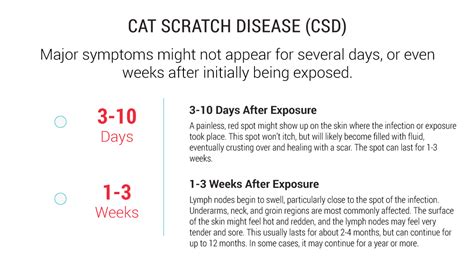 From Cat Scratch Disease to Bartonellosis - Galaxy Diagnostics