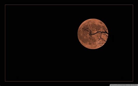 Halloween Moon Wallpapers - Top Free Halloween Moon Backgrounds ...