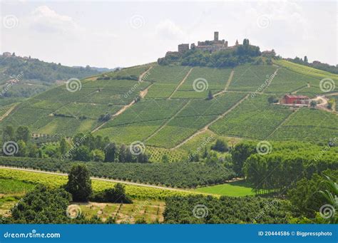 Barolo Wine Alba Piedmont Italy Stock Photo - Image of famouse, destination: 20444586