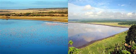 Expert Guide On Lake Elementaita In Central Kenya - AfricanMecca Safaris