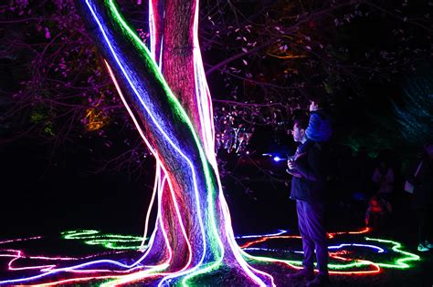 Dazzling Lightscape illuminated trail returns to Brooklyn Botanic Garden after sold-out first ...