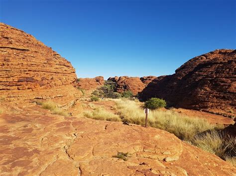 Watarrka National Park - Aussie Bushwalking