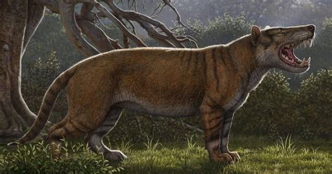 Extinct Cat Species