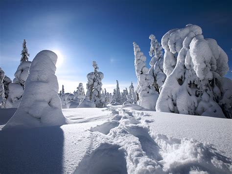 Finnish Lapland snow-covered wallpaper-1600x1200 Download | 10wallpaper.com