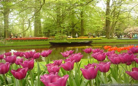 Flower Gardens Wallpapers (59+ images)