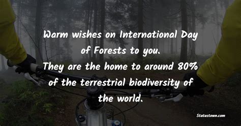 Warm wishes on International Day of Forests to you. They are the home to around 80% of the ...