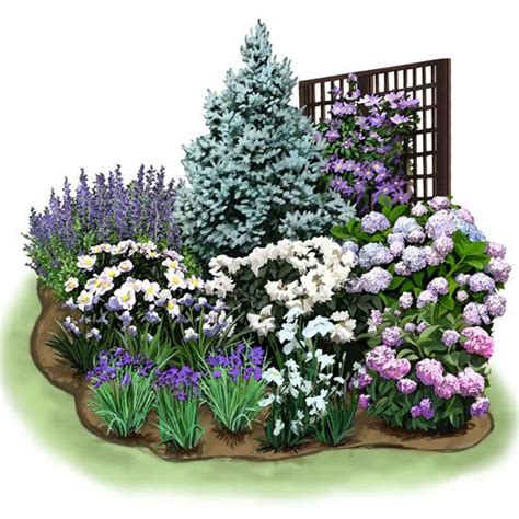 Dress Up a Fence or Arbor with this Long-Blooming Cozy Corner Garden ...