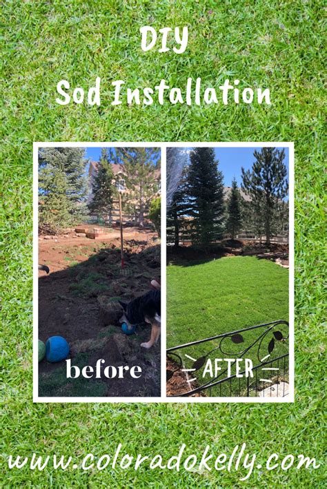 DIY Sod Installation #diy #sodinstallation Front House Landscaping, Landscaping Business ...