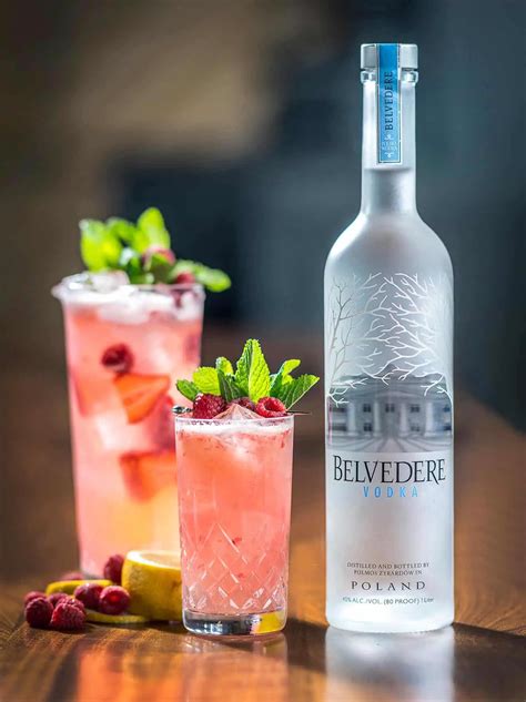 Belvedere Vodka Cocktails | The Vodka Guy | Vodka Guy's website