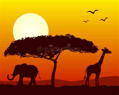 African Landscape At Sunset Stock Vector - Image: 16214719