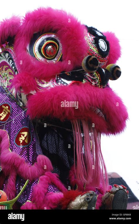 lion dance costume Stock Photo - Alamy