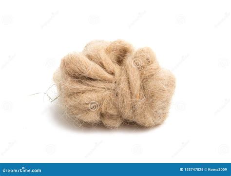 Sheep wool isolated stock image. Image of fiber, white - 153747825