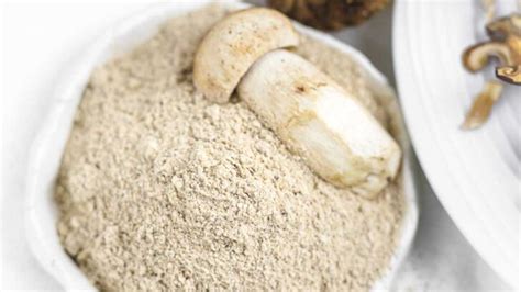 Homemade Mushroom Powder Seasoning - Low Carb No Carb